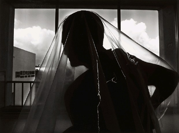 藏品:台灣-核災過後的(11)張圖片