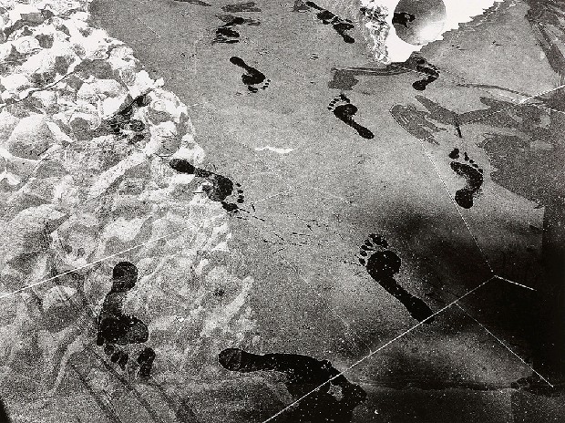 藏品:台灣-核災過後的(12)張圖片