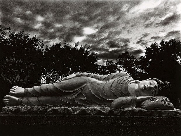 藏品:台灣-核災過後的(14)張圖片