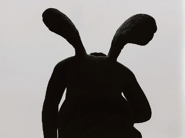 藏品:台灣-核災過後的(15)張圖片