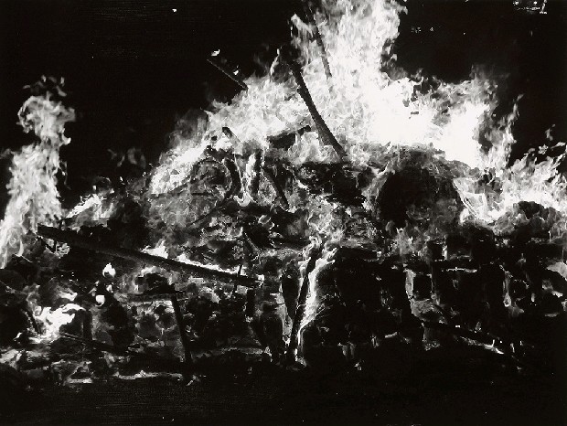 藏品:台灣-核災過後的(16)張圖片