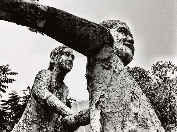 藏品:台灣-核災過後的(17)張圖片