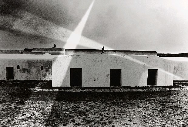 藏品:台灣-核災過後的(26)張圖片