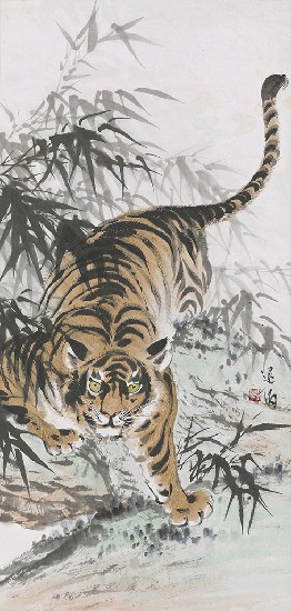 藏品:虎的(1)張圖片