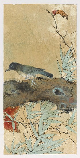 藏品:青竹紅葉的(1)張圖片