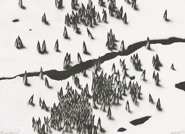 藏品:私密的傷痕 I的(1)張圖片