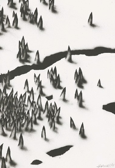 藏品:私密的傷痕 I的(2)張圖片