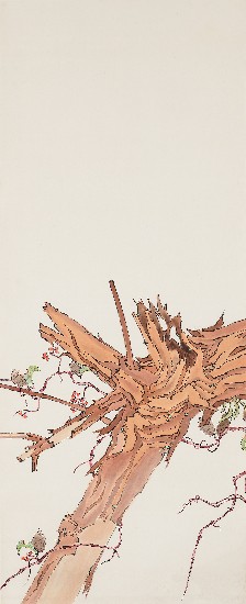 藏品:秋江冷豔的(5)張圖片