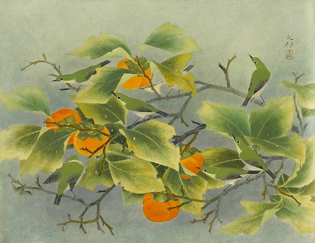 藏品:紅柿與鳥的(1)張圖片