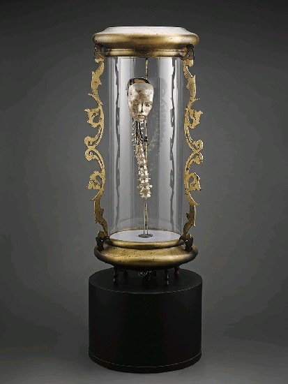 藏品:標本的(1)張圖片