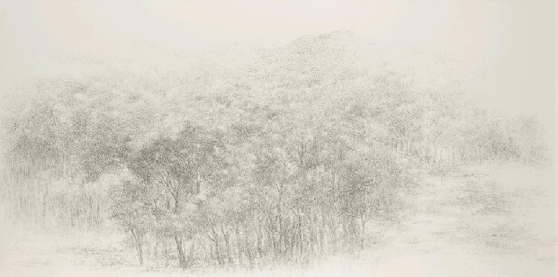 藏品:凝視遊走的(1)張圖片