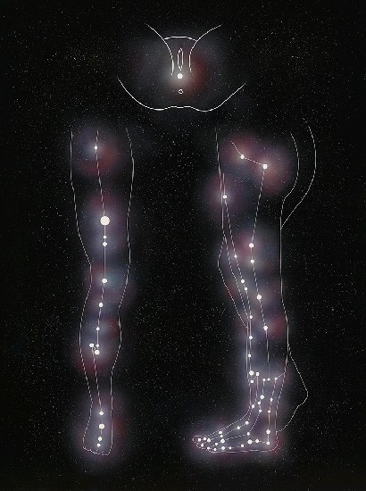 藏品:奧運的(1)張圖片