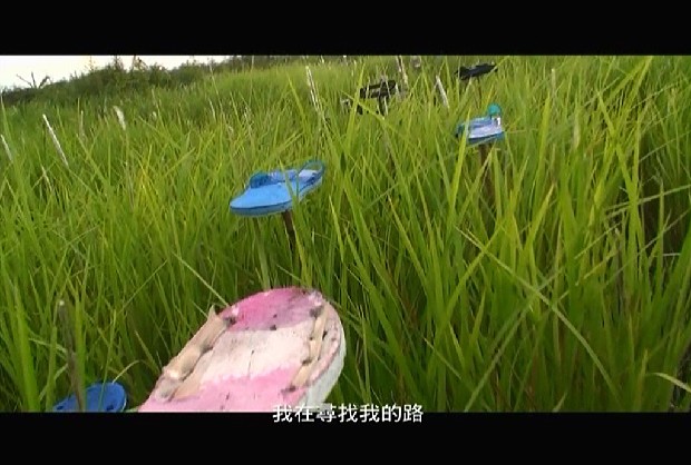 藏品:Fali-yos 颱風計畫－消失後的入侵(錄像)的(1)張圖片