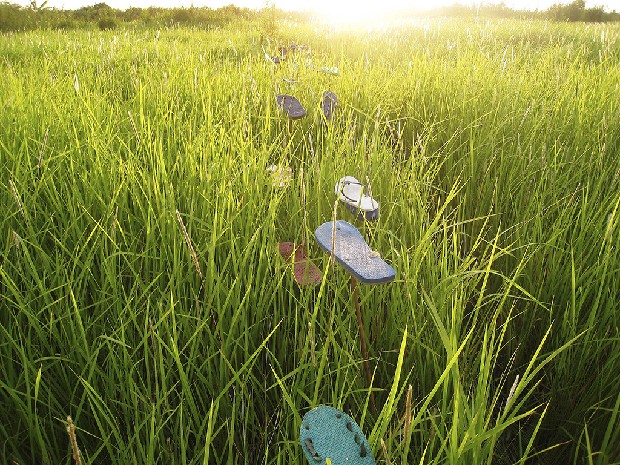 藏品:Fali-yos 颱風計畫－消失後的入侵(錄像)的(3)張圖片