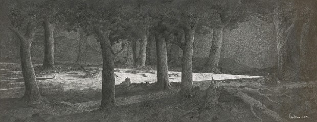 藏品:森林路上．兔子的(1)張圖片