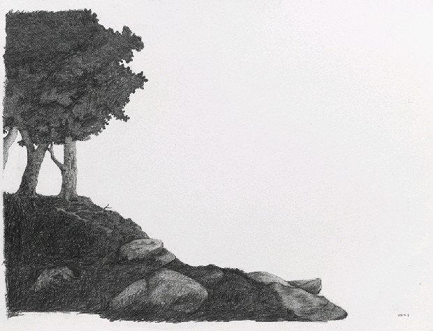 藏品:森林路上．兔子的(2)張圖片