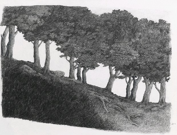 藏品:森林路上．兔子的(4)張圖片