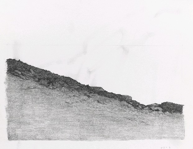 藏品:森林路上．兔子的(5)張圖片