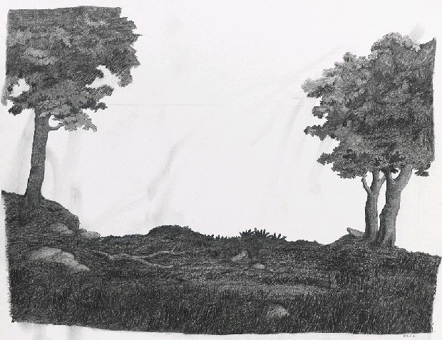 藏品:森林路上．兔子的(6)張圖片