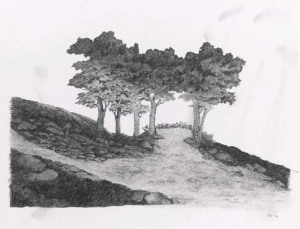 藏品:森林路上．兔子的(7)張圖片