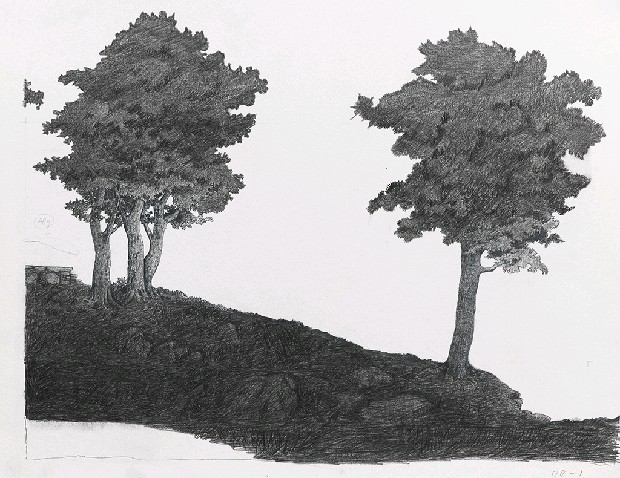 藏品:森林路上．兔子的(8)張圖片