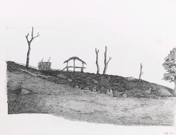 藏品:森林路上．兔子的(9)張圖片