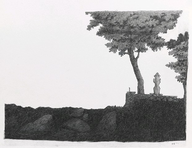 藏品:森林路上．兔子的(10)張圖片