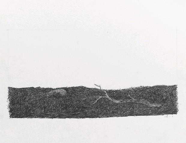 藏品:森林路上．兔子的(12)張圖片