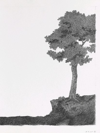 藏品:森林路上．兔子的(14)張圖片