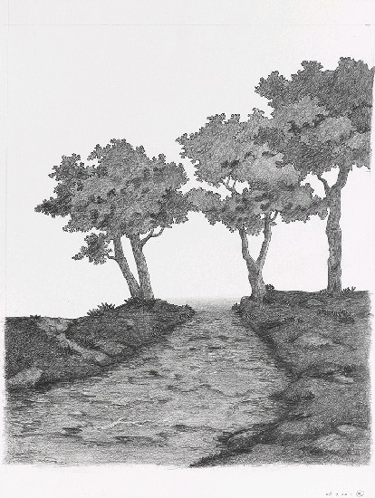 藏品:森林路上．兔子的(15)張圖片