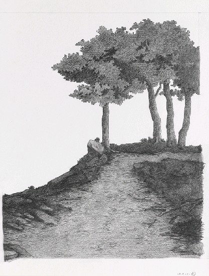 藏品:森林路上．兔子的(16)張圖片