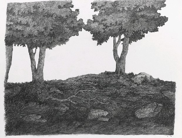 藏品:森林路上．兔子的(18)張圖片