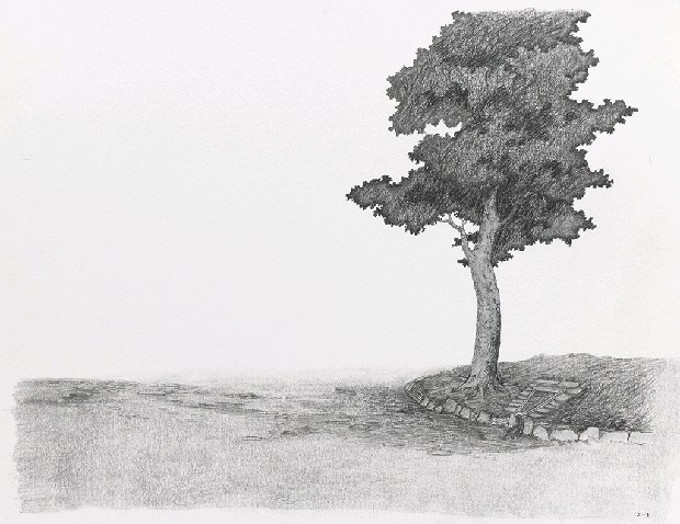 藏品:森林路上．兔子的(19)張圖片