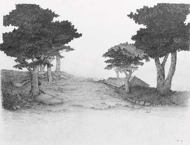 藏品:森林路上．兔子的(20)張圖片