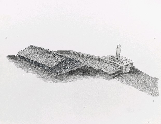 藏品:森林路上．兔子的(21)張圖片