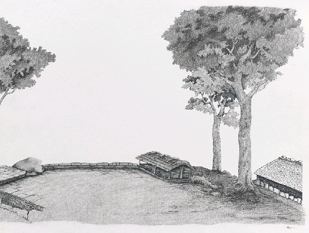 藏品:森林路上．兔子的(22)張圖片