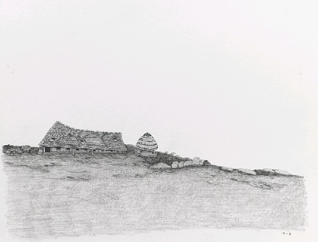 藏品:森林路上．兔子的(23)張圖片