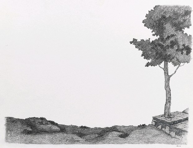 藏品:森林路上．兔子的(24)張圖片