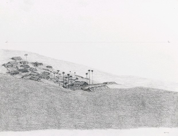 藏品:森林路上．兔子的(26)張圖片