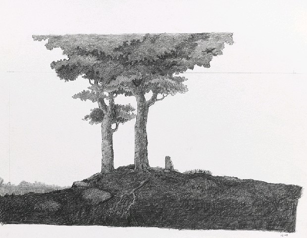 藏品:森林路上．兔子的(27)張圖片