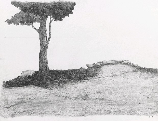 藏品:森林路上．兔子的(28)張圖片