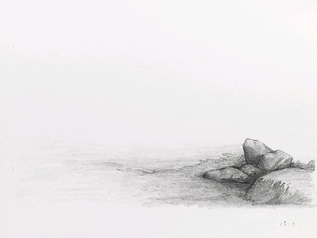 藏品:森林路上．兔子的(29)張圖片