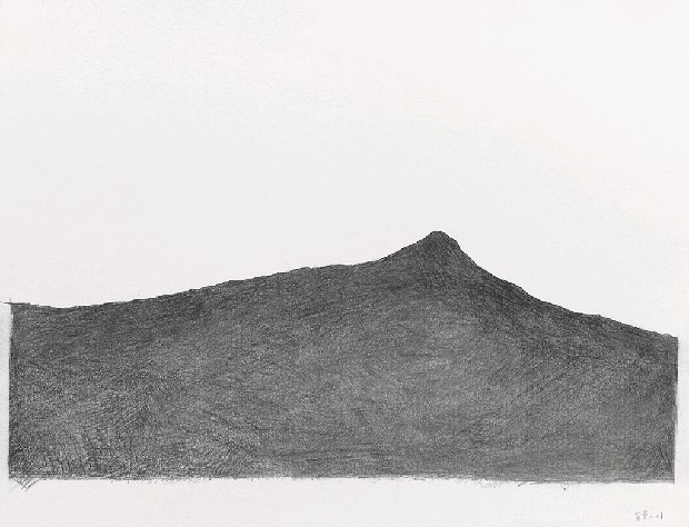 藏品:森林路上．兔子的(30)張圖片