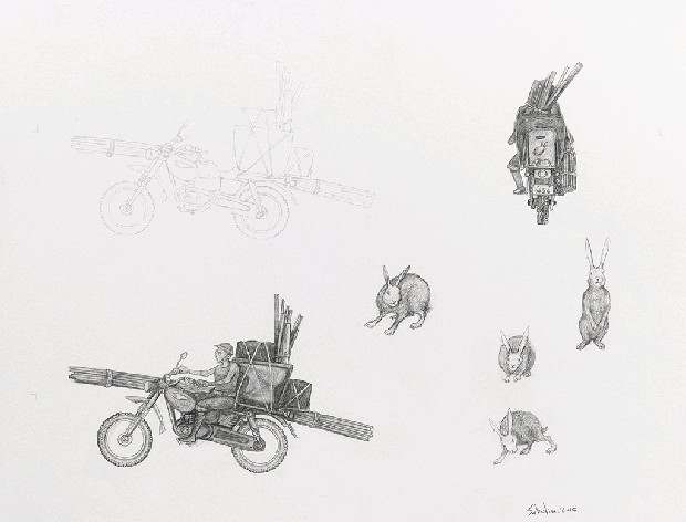 藏品:森林路上．兔子的(49)張圖片