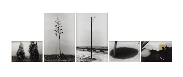 藏品:記憶的距離(兩棵松/一株樹/一盞燈/一團影/一口氣)的(1)張圖片