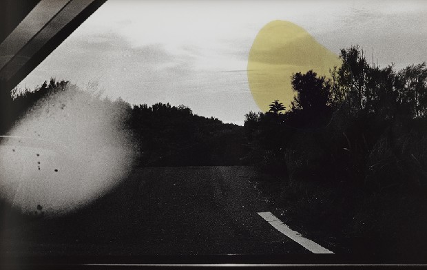 藏品:記憶的距離(兩棵松/一株樹/一盞燈/一團影/一口氣)的(2)張圖片