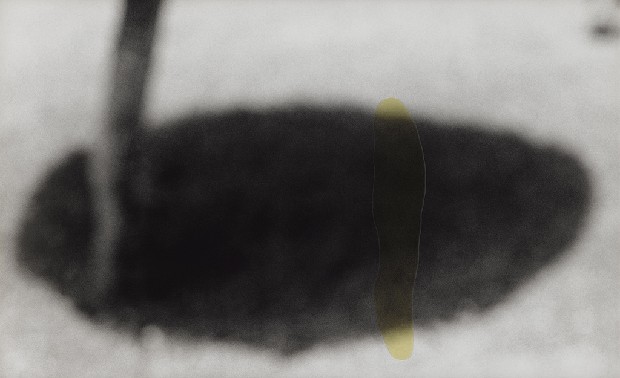 藏品:記憶的距離(兩棵松/一株樹/一盞燈/一團影/一口氣)的(3)張圖片