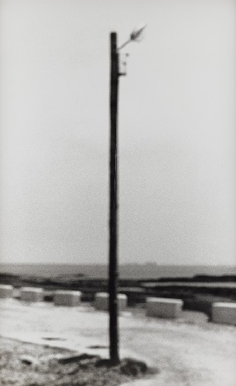 藏品:記憶的距離(兩棵松/一株樹/一盞燈/一團影/一口氣)的(4)張圖片