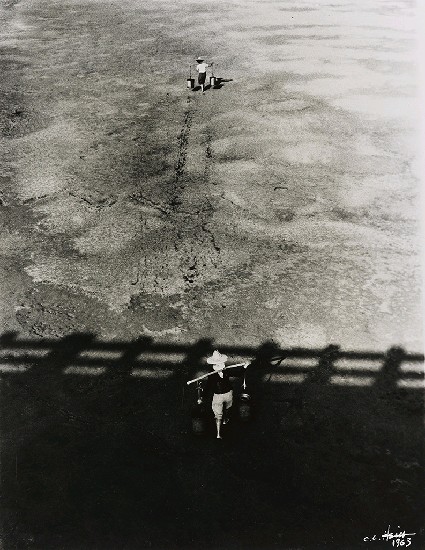 藏品:旱地求生的(1)張圖片