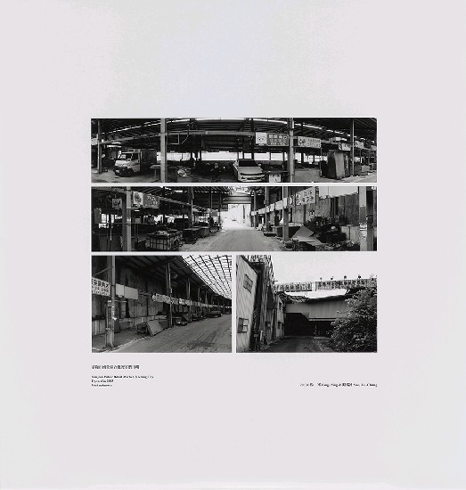 藏品:海市蜃樓：台灣閒置公共設施抽樣踏查攝影計畫的(47)張圖片